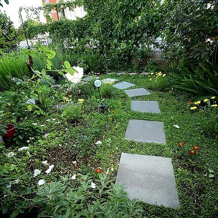 Gordana Apartment